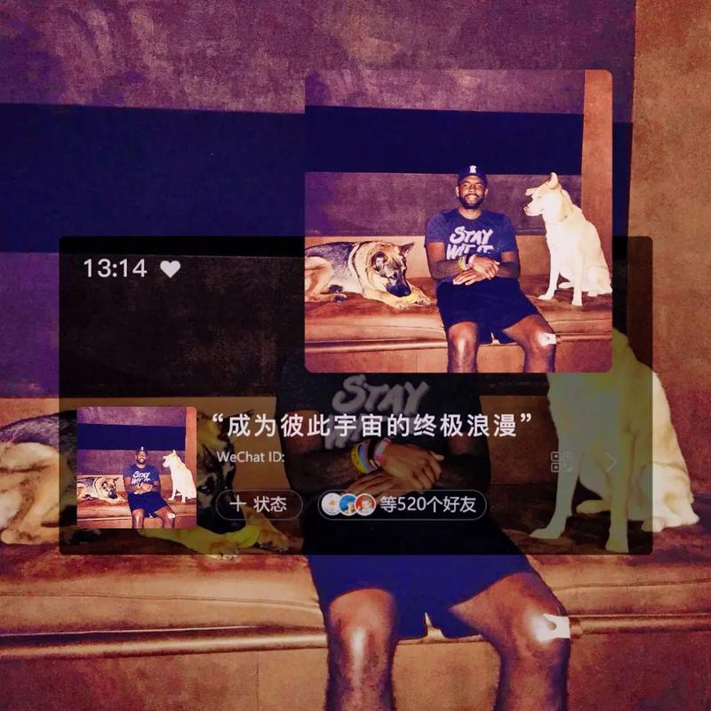 詹姆斯生涯简介 詹姆斯生涯简介
