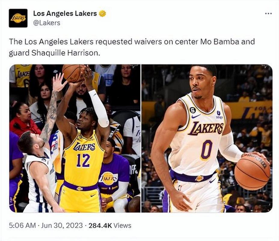 纽约困境哀兵如何破刺而出 纽约困境哀兵如何破刺而出