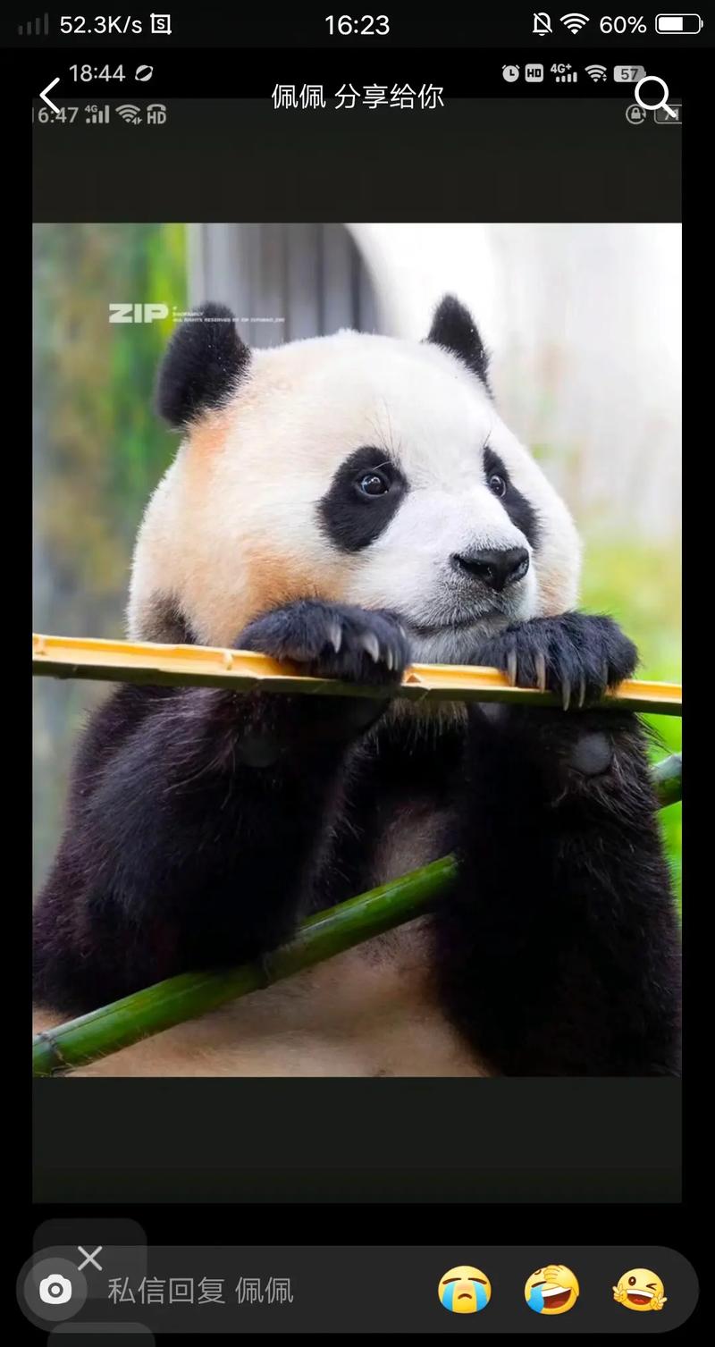 女足英国对西班牙 女足英国对西班牙