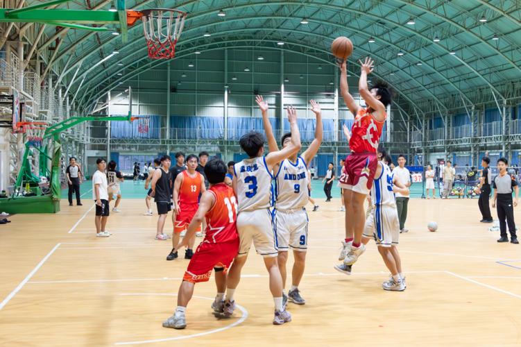 公牛王朝阵容 公牛王朝阵容