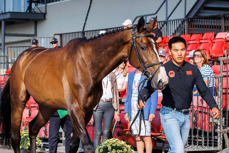 那不勒斯对克雷莫纳 那不勒斯进球 那不勒斯对克雷莫纳 那不勒斯进球