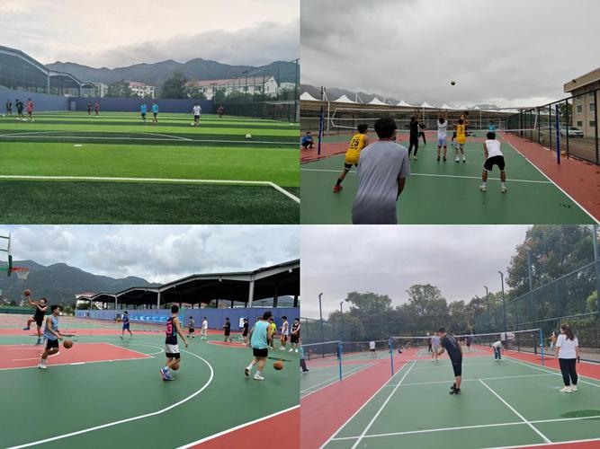 全锦赛乒乓球直播 全锦赛乒乓球直播