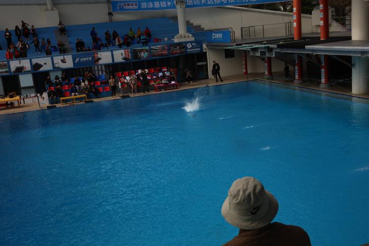 成都蓉城队排名 成都蓉城近10场比赛比分 成都蓉城队排名 成都蓉城近10场比赛比分