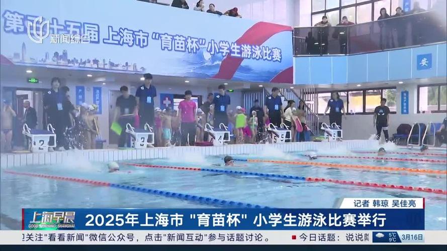 2025女排世界杯决赛