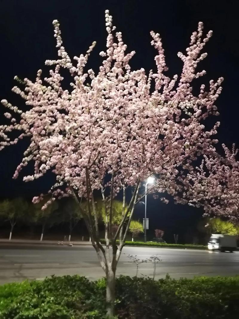 世界杯今晚足球赛直播 世界杯今晚足球赛直播