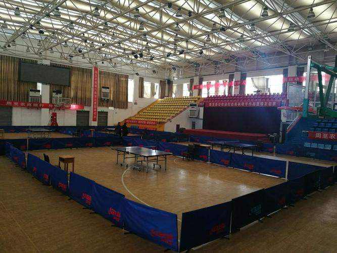 奥运五福娃 奥运五福娃分别代表着什么 奥运五福娃 奥运五福娃分别代表着什么