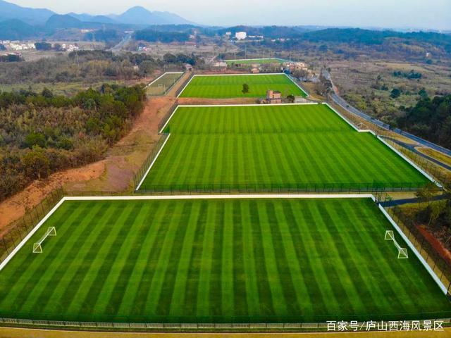 田径跑的所有项目