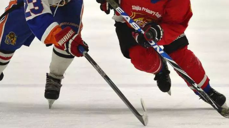 名古屋亚残运会吉祥物