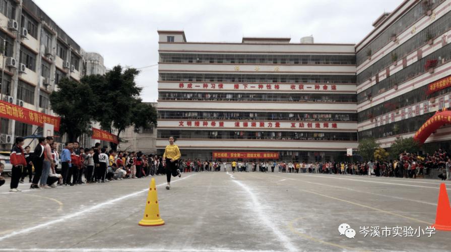 篮球场木地板 篮球场木地板