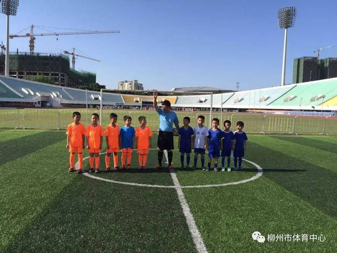 任子威个人资料 任子威个人资料