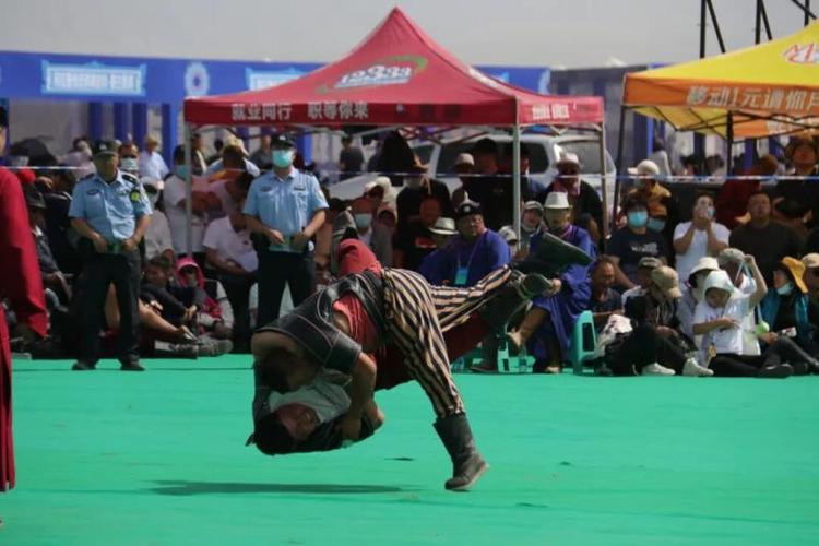 自由顺势赢日落新篇章开启