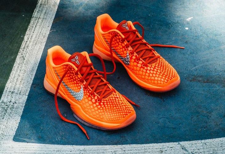 德拉季奇失利已经过去了 为下一场做好准备