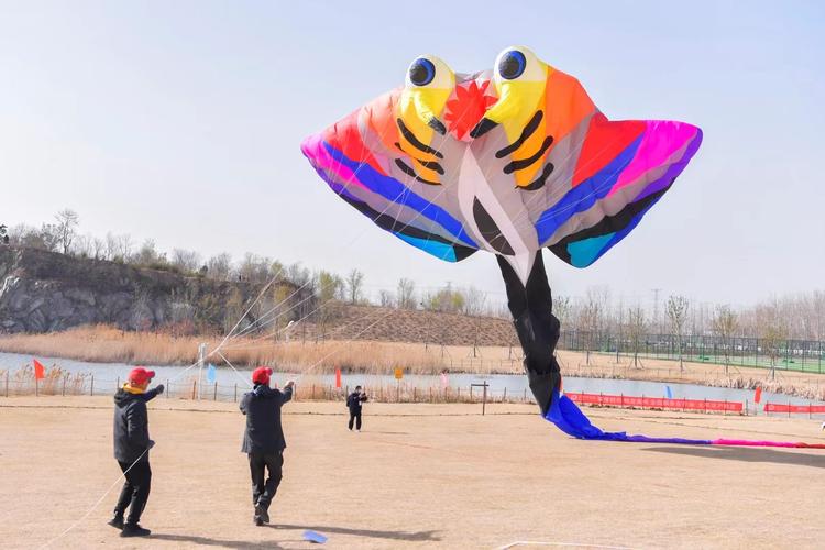 英联杯曼城黑旋风驰骋 纽卡鏖战难取胜