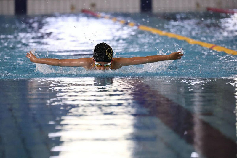 达里安莫格莱尼 达里安莫格莱尼代码