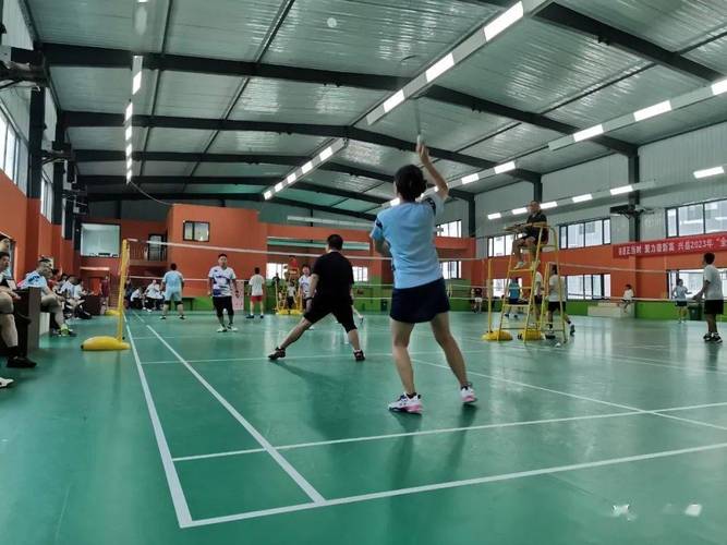 巴西女排对美国女排比赛视频 巴西女排对美国女排比赛视频