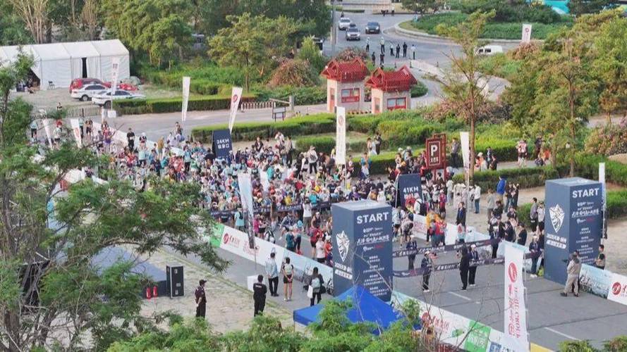 切尔西老板的神秘面纱 他是谁 背景如何 如何影响球队决策