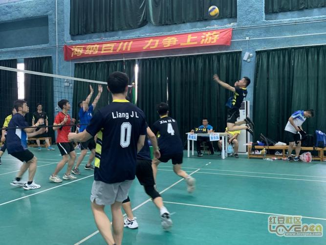 2014女排世锦赛中国2014女排世锦赛中国多米尼加 2014女排世锦赛中国2014女排世锦赛中国多米尼加