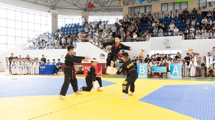 托雷斯进球集锦视频 托雷斯进球集锦视频