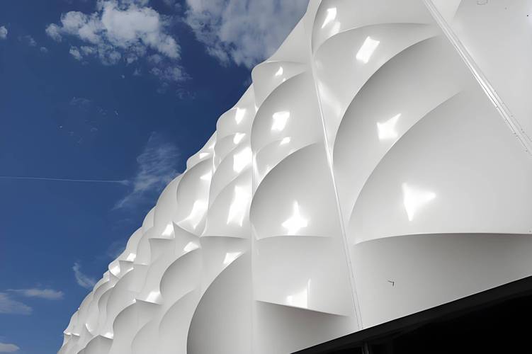 羽毛球的毛是用什么毛做的