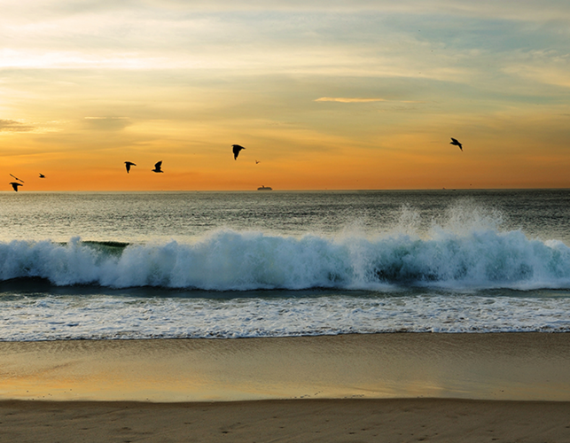 东京奥运开幕式恐怖表演
