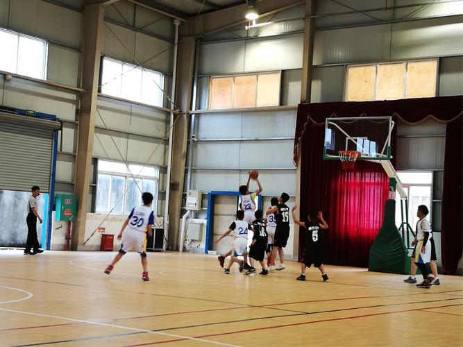 荷兰vs法国预测_荷兰对法国比赛预测