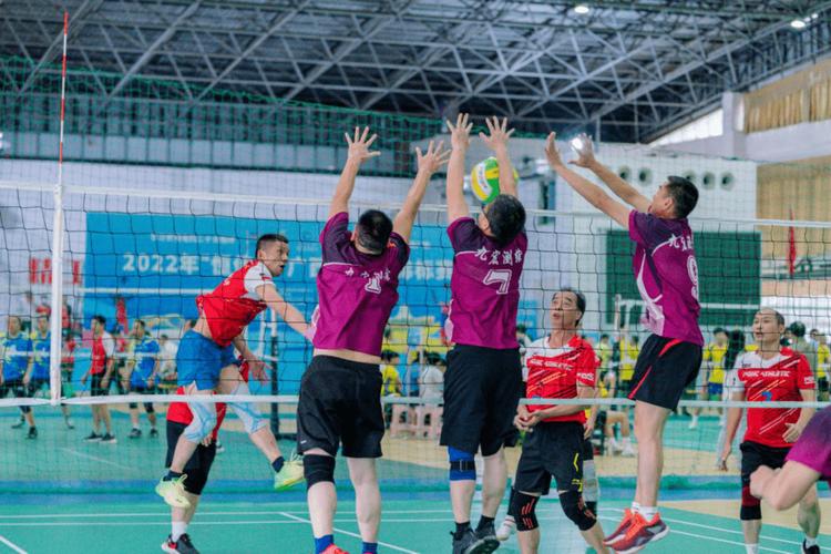 2025年有欧洲杯足球吗