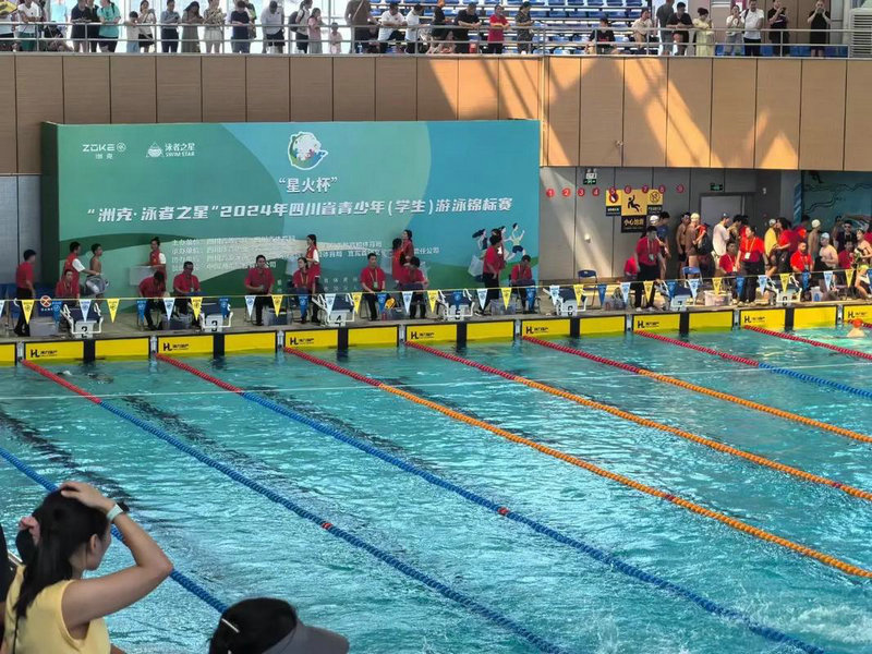 丹麦与瑞士对决*** 谁能胜出