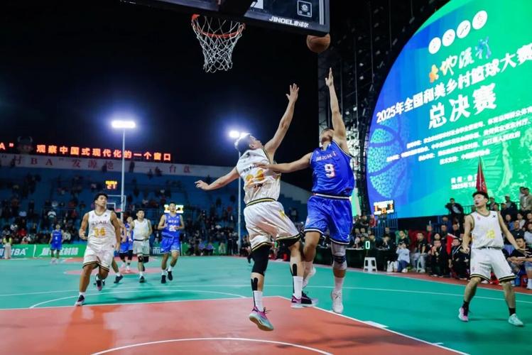 阿根廷和智利的国界线