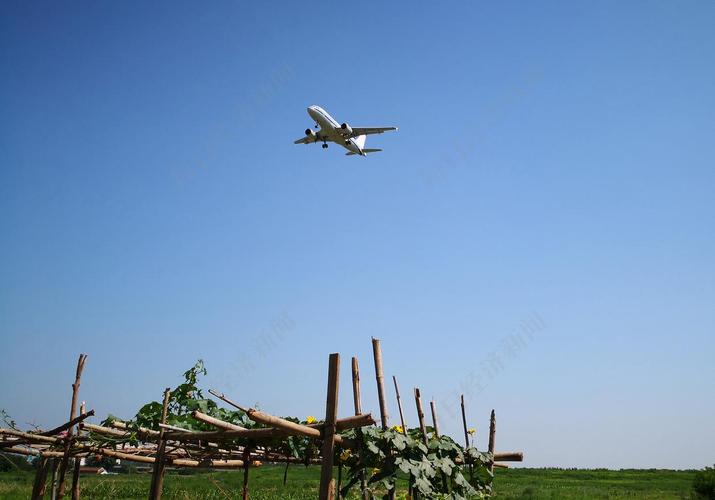 nba赛制规则几局几胜_nba赛制规则几局几胜算 nba赛制规则几局几胜_nba赛制规则几局几胜算