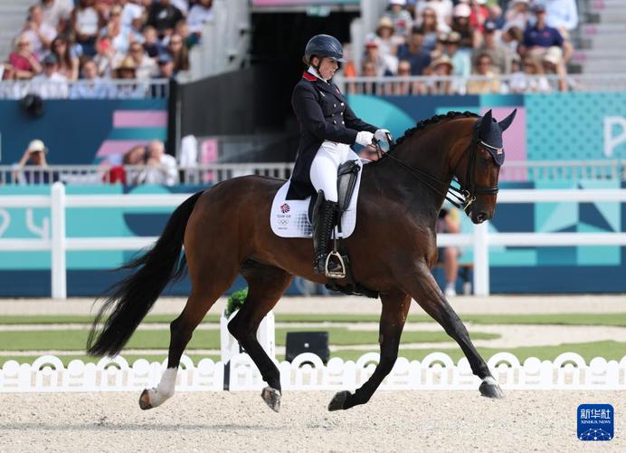 独行侠vs火箭第一节 独行侠vs火箭第一节回放