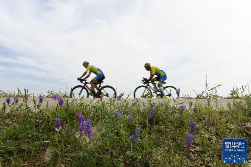 游泳活动内容怎么写