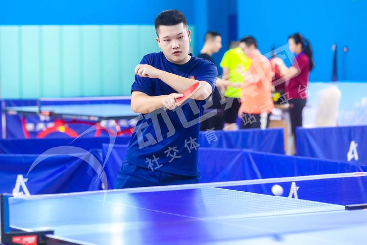 中国拳王张志磊 中国拳王张志磊