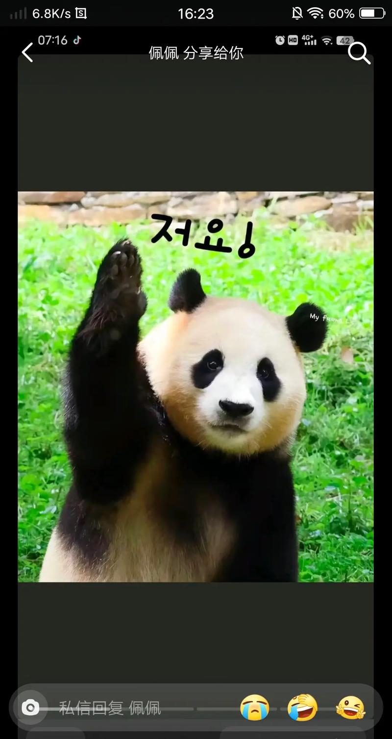 罗斯仍热爱芝加哥愿终老于公牛 巴特勒天赋佳 罗斯仍热爱芝加哥愿终老于公牛 巴特勒天赋佳