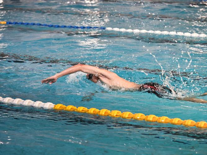 速龍展现独特技艺绝活风采 速龍展现独特技艺绝活风采