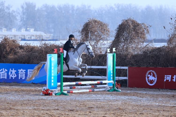 广州恒大2014年阵容2013年广州恒大 广州恒大2014年阵容2013年广州恒大