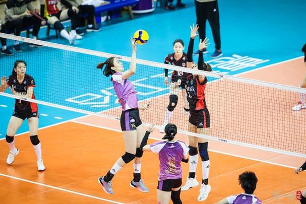 常规赛和季后赛 常规赛和季后赛哪个重要 常规赛和季后赛 常规赛和季后赛哪个重要