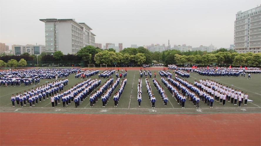 杜塞尔多夫对波鸿比赛