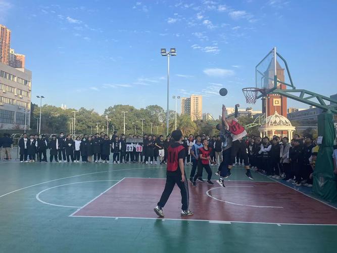 全红婵教练陈若琳简历 全红婵教练陈若琳简历