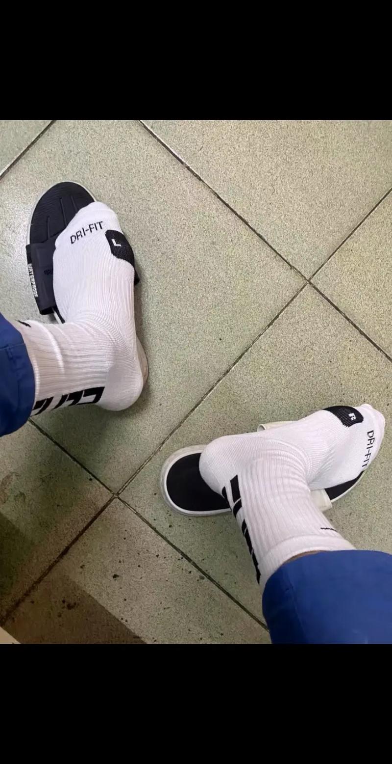 上海2044年奥运会 上海2044年奥运会