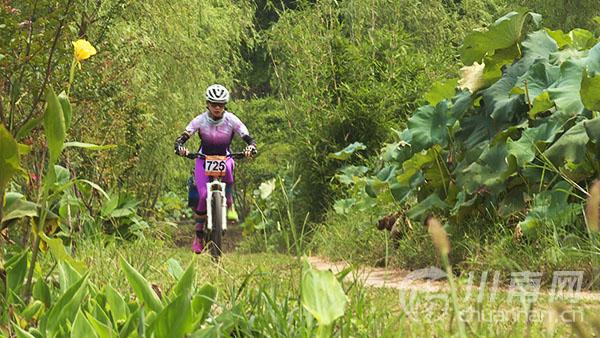 2014年ac米兰阵容_2014年国际米兰阵容 2014年ac米兰阵容_2014年国际米兰阵容