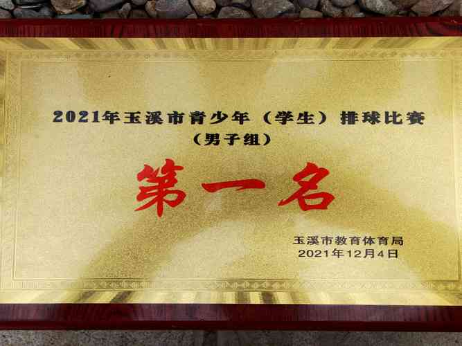 巴黎奥运会中国获奖情况表 巴黎奥运会中国获奖情况表