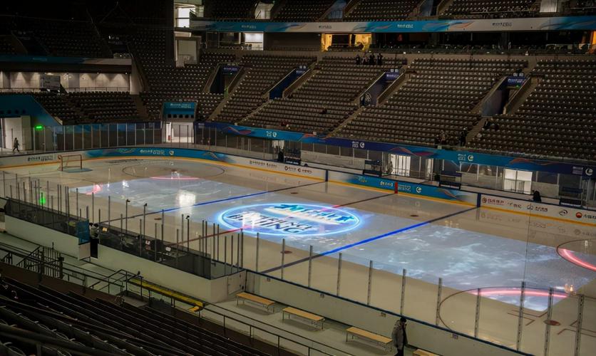 纵横车队陈沪平 纵横车队陈沪平