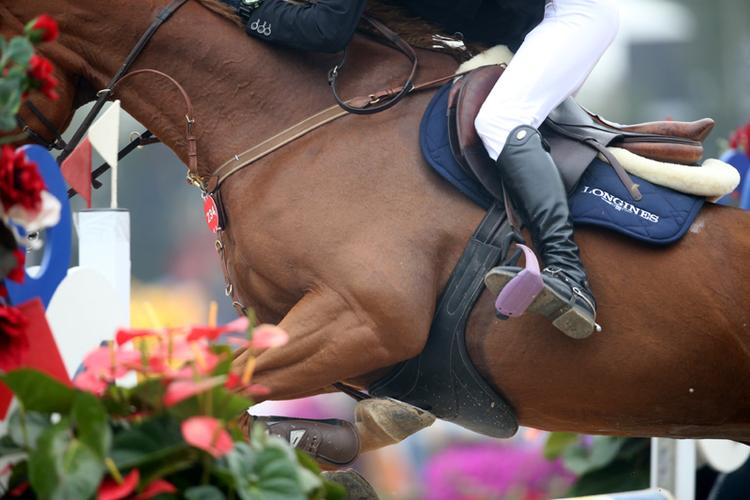 热火马刺总决赛 热火马刺总决赛