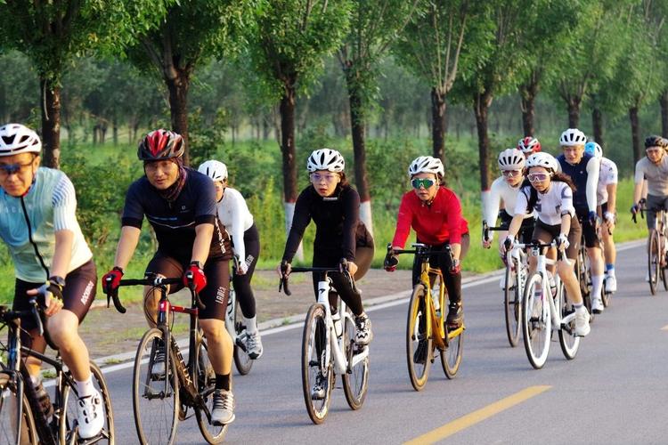 小萨球场告别战卡特球衣退役猛龙险胜国王 赛场