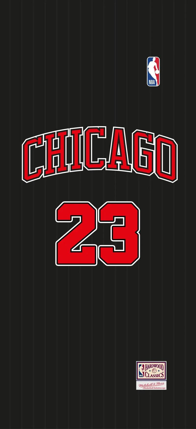 nba全明星赛24年投票