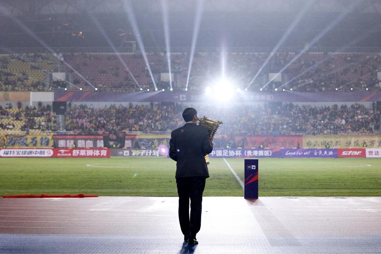 山东鲁能集团简介