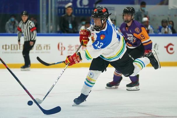 维斯塔潘首夺f1年度总冠军