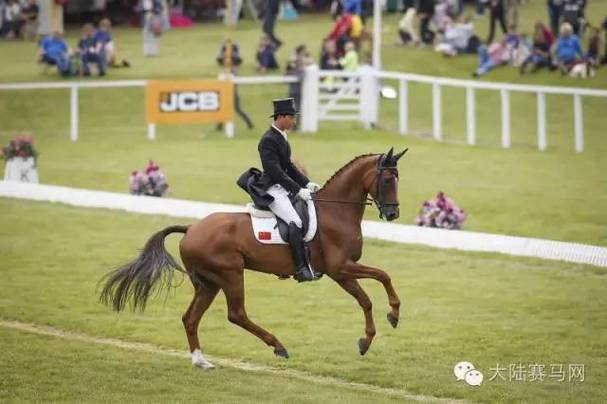 库里退出勇士加入湖人