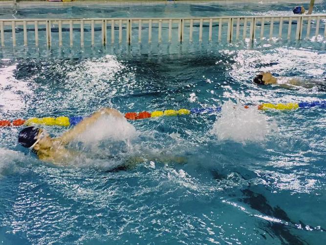 尼克斯vs猛龙比分预测推荐 尼克斯vs猛龙比分预测推荐