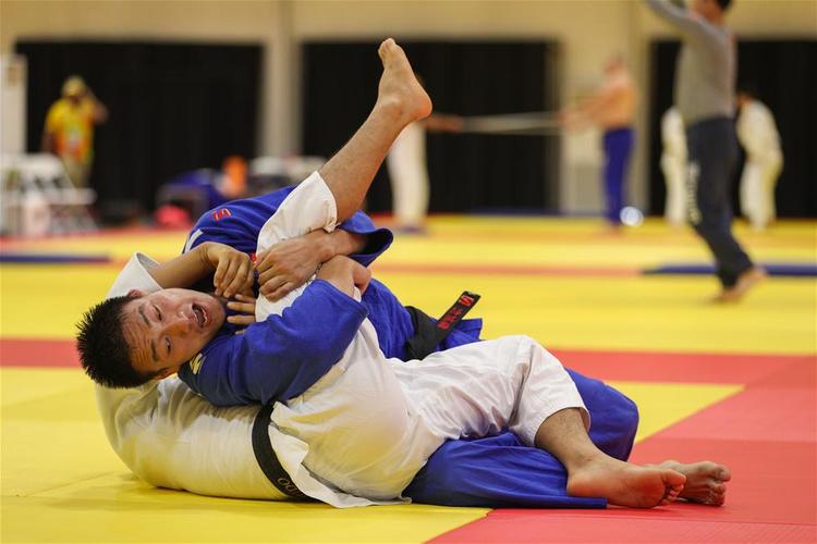 切尔西老板阿布的资产遭英国冻结